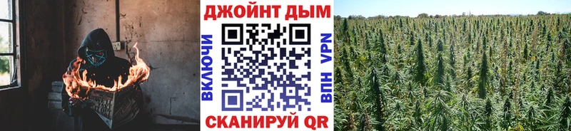 Купить где  Пересвет  Бошки марихуана Ganja 